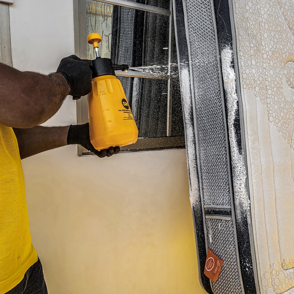 SM Pulverizador de espuma para lavado de muebles 2L - Imagen 6